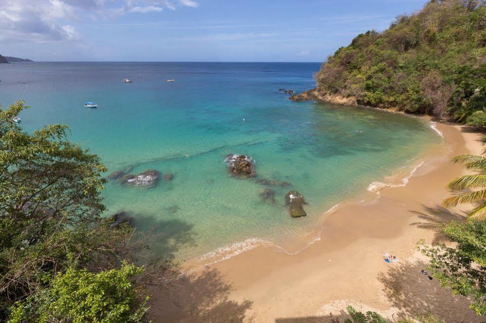 Castara Seascape On Heavenly Bay 아파트 외부 사진